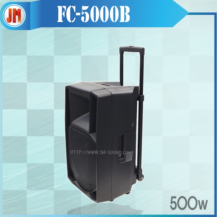 FC-5000B /FC-5000전용보조스피커,500와트